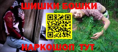 индика Ногинск