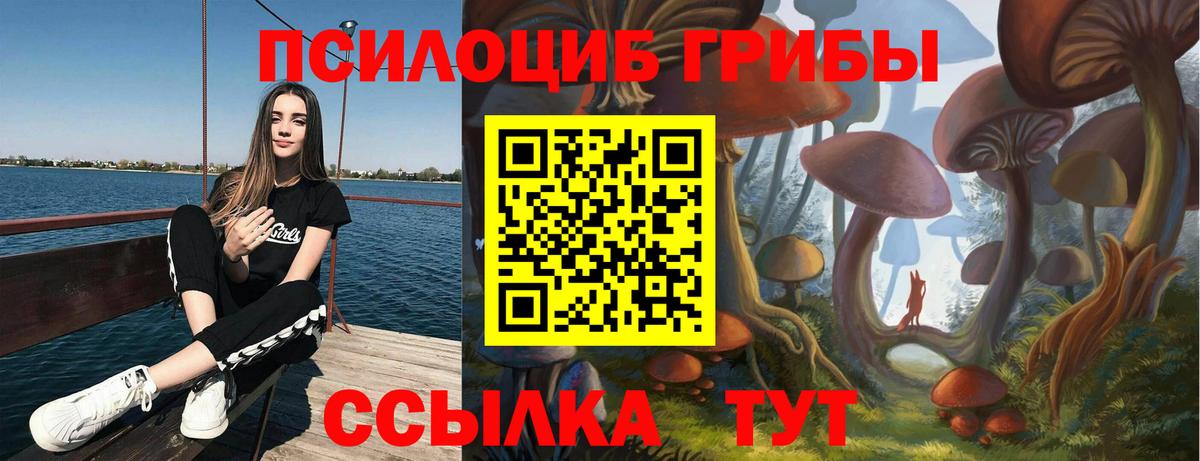 Галлюциногенные грибы Psilocybine cubensis  Вход с VPN  Бахчисарай 