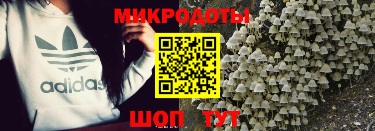 Псилоцибиновые грибы GOLDEN TEACHER Бахчисарай